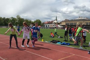 Foto: Krajské kolo Štafetového poháru 2019 Tábor - Jihočeský kraj - 